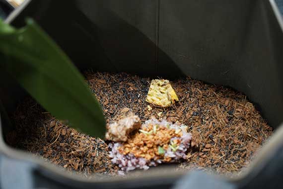 ケータリング事例イメージ1